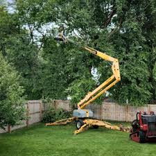 Best Tree Risk Assessment  in Gladeview, FL